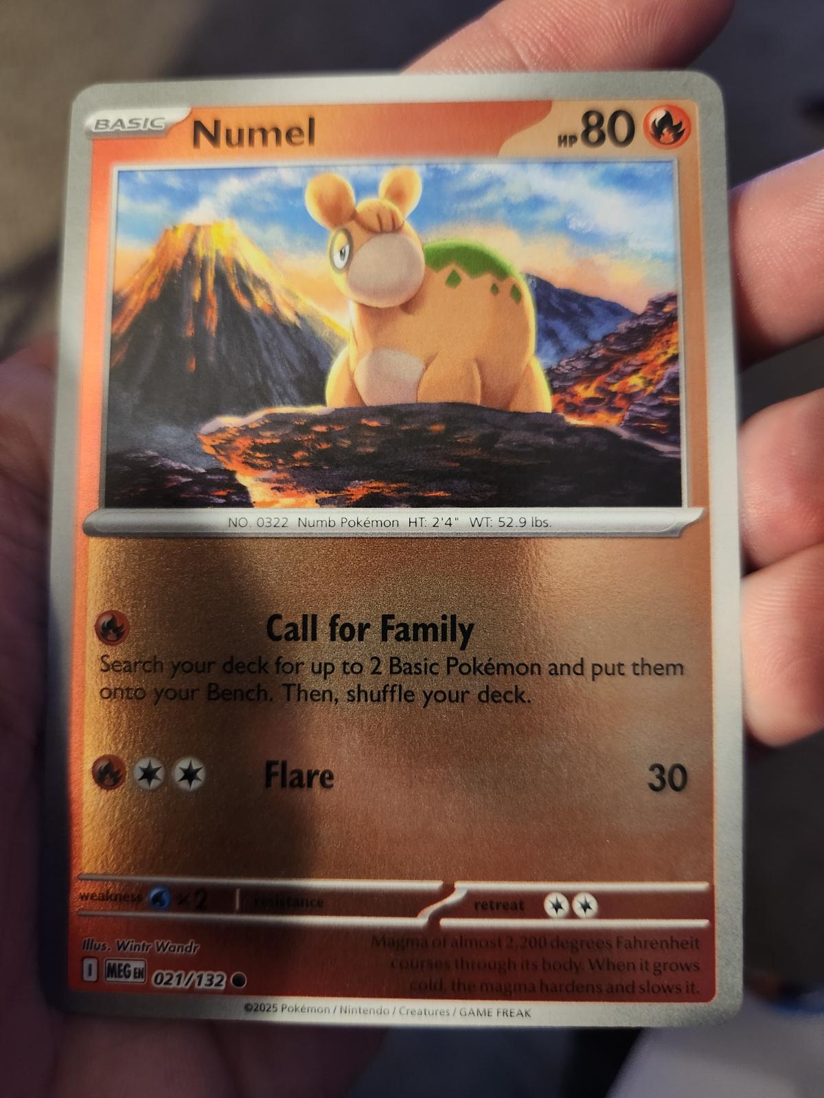 Numel [Reverse Holo]